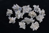 石膏藏品圖，第1張