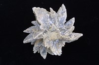 石膏藏品圖，第2張
