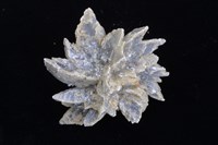 石膏藏品圖，第3張