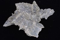 石膏藏品圖，第4張