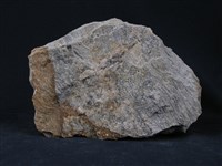 石英片岩藏品圖，第4張