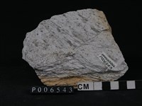 石英片岩藏品圖，第1張
