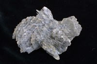 石膏藏品圖，第2張