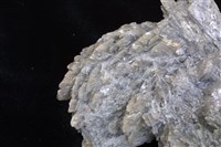 石膏藏品圖，第3張