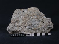 多矽白雲母藍閃片岩藏品圖，第1張