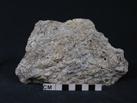 多矽白雲母藍閃片岩藏品圖，第2張