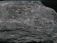 多矽白雲母藍閃片岩藏品圖，第3張