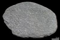 黑色片岩藏品圖，第1張