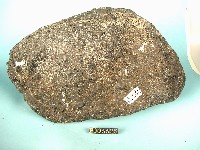 玻璃質玄武岩藏品圖，第2張