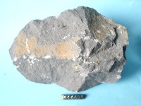 白榴基玄武岩藏品圖，第2張
