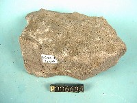 白榴基玄武岩藏品圖，第2張