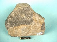 鹼性玄武岩藏品圖，第2張