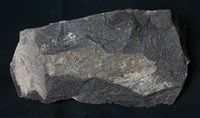 矽質玄武岩藏品圖，第2張