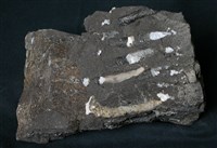 矽質玄武岩藏品圖，第2張