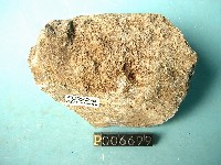 角閃石安山岩藏品圖，第3張