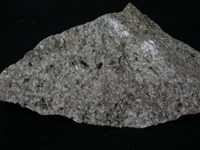 花崗岩包體藏品圖，第2張