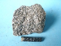 花崗岩包體藏品圖，第2張