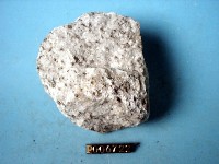 花崗岩包體藏品圖，第2張
