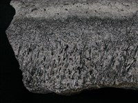 角閃石安山岩藏品圖，第2張