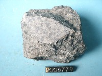 碎屑角礫岩藏品圖，第4張