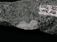 換質角閃石安山岩藏品圖，第2張