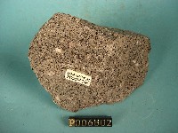 黑雲母角閃石安山岩藏品圖，第4張