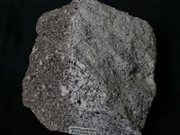 黑雲母角閃石安山岩藏品圖，第1張