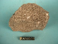 黑雲母角閃石安山岩藏品圖，第4張