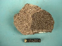 黑雲母角閃石安山岩藏品圖，第3張