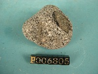 Biotite hornblende andesite Collection Image, Figure 4, Total 4 Figures