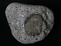 黑雲母角閃石安山岩藏品圖，第1張