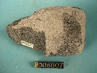 角閃石輝長岩藏品圖，第3張