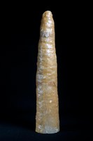 鐘乳石藏品圖，第1張