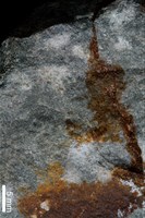 石英砂岩藏品圖，第4張
