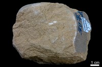 砂岩藏品圖，第2張