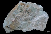 粉砂岩藏品圖，第2張