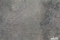 頁岩藏品圖，第3張