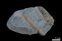 黏土岩藏品圖，第1張