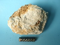 凝灰岩藏品圖，第2張