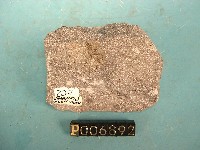 二輝安山岩藏品圖，第2張