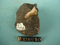 矽質玄武岩藏品圖，第2張
