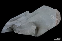 泥岩藏品圖，第2張