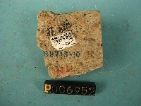 石英斑岩藏品圖，第2張