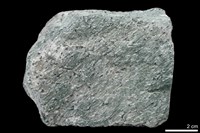 綠泥石片岩藏品圖，第1張