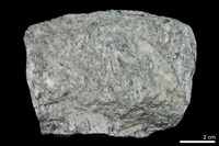 皺紋片麻岩(副片麻岩)藏品圖，第1張