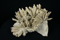 硬石膏藏品圖，第2張