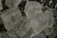 鹽岩藏品圖，第2張