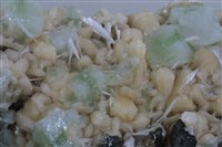 魚眼石/輝沸石/鈣沸石藏品圖，第3張
