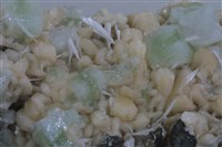 魚眼石/輝沸石/鈣沸石藏品圖，第7張