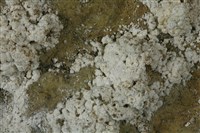 石膏藏品圖，第2張